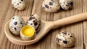 Huevos de codorniz: un alimento con alto valor nutricional
