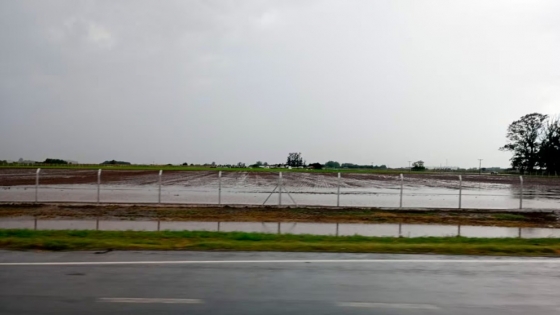 Invierno 2025: lluvias en el norte agrícola y heladas afectan al Cono Sur, según BCBA