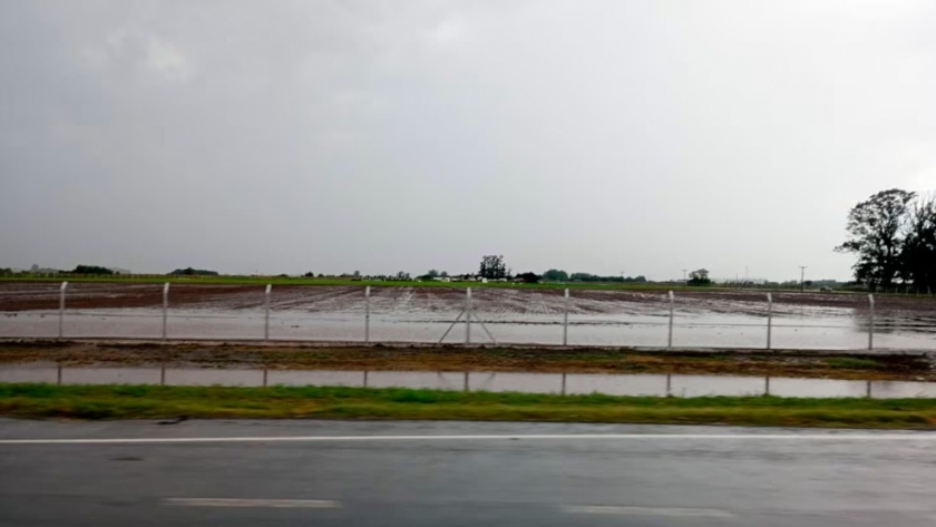 Invierno 2025: lluvias en el norte agrícola y heladas afectan al Cono Sur, según BCBA