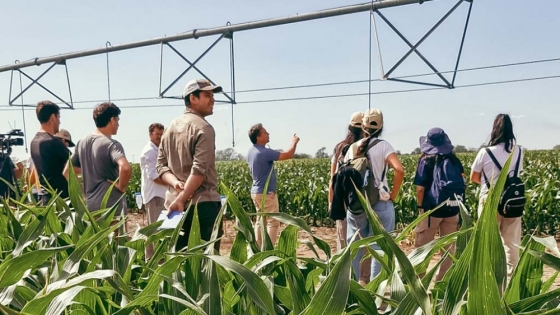 Mejora el ánimo de inversión de los productores