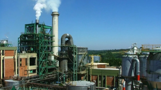 Grupo ARCOR generó 352.000 Bonos de Carbono gracias a la Energia de la Biomasa