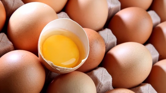 Huevos, biogás y fertilizantes: la fórmula circular que revoluciona el agro argentino