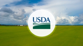 Un informe bajista del USDA apareció para poner en “rojo” los precios de la soja y el maíz en EE.UU.