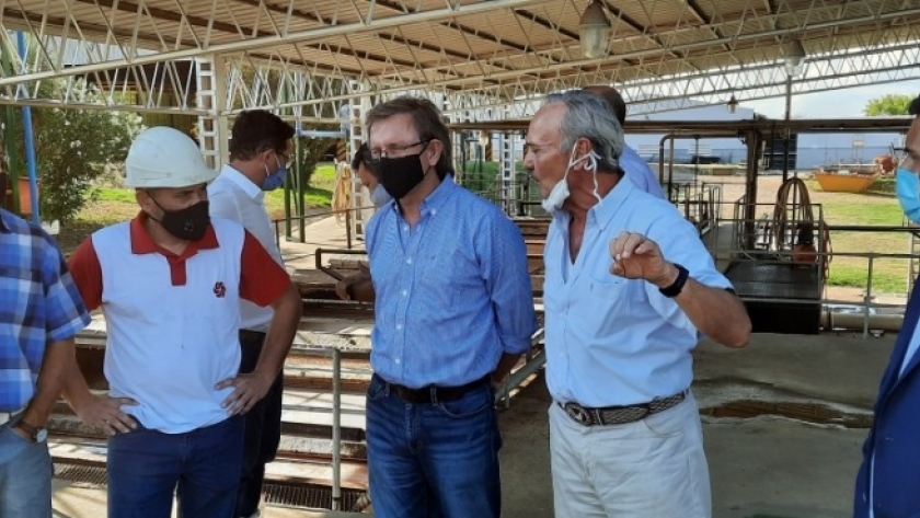 Trabajo coordinado entre la provincia y el sector privado para potenciar a la avicultura