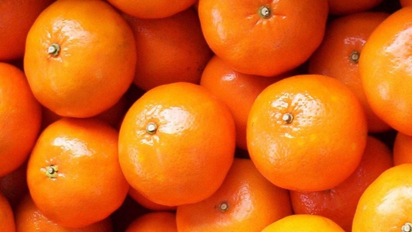Chile ve un aumento de las exportaciones de cítricos de cáscara fácil a medida que caen las naranjas