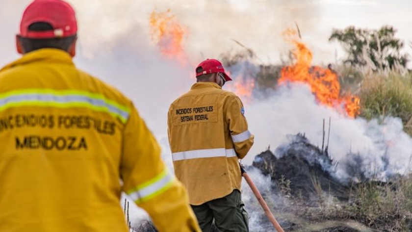 Zonda: Ambiente y Defensa Civil sancionarán a quienes provoquen incendios