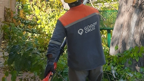La poda anual en Godoy Cruz es más sustentable con el uso de herramientas eléctricas