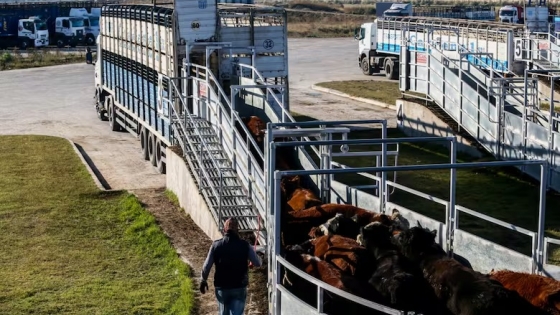 Mercado Agroganadero de Cañuelas: selectividad y caída de precios