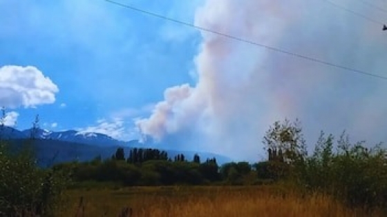 Después del fuego: cómo productores pueden restaurar la tierra y proteger su ganado