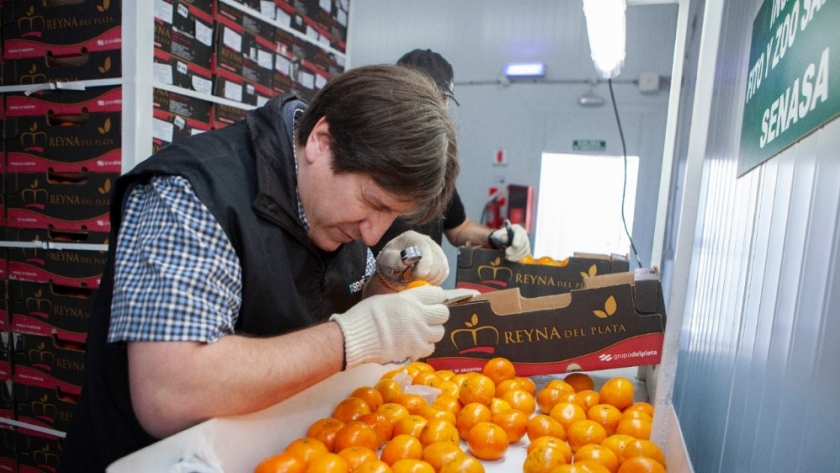 Se conmemora el Día Mundial de la Inocuidad de los Alimentos