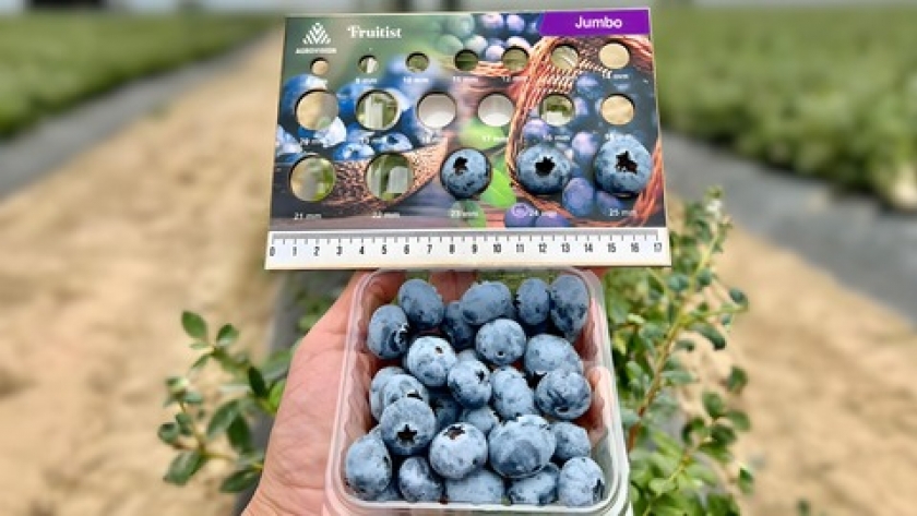 Agrovision Secures $100M investment, surpasses $1B valuation amid rapid expansion