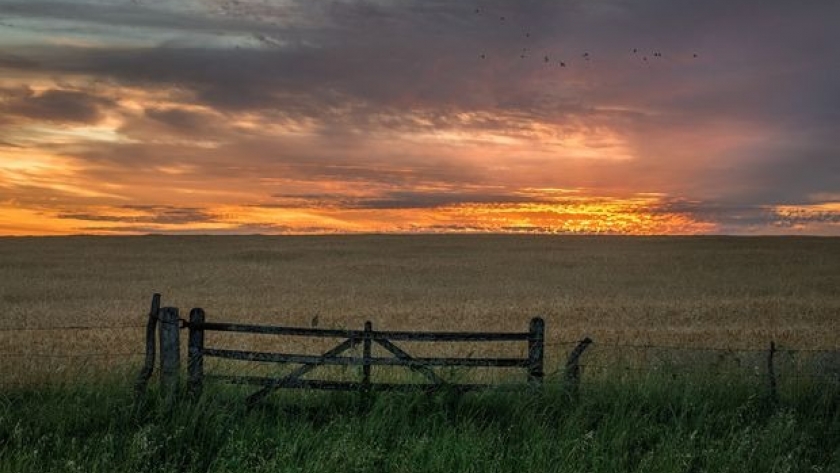 Pese a la devaluación, los alquileres rurales se mantienen estables