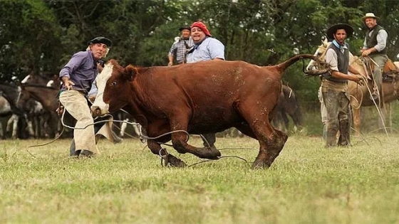 ¿Adiós a la yerra?: diputado cordobés dice que hay que promover el bienestar animal