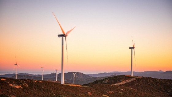 Revolución eólica en Argentina: el futuro de la energía renovable está en el viento