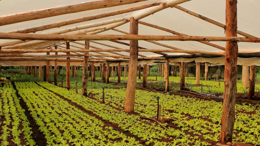 El Agro lanza documentos técnicos para el fortalecimiento de la producción