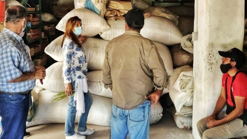 Productores de los valles recibieron elementos para la cosecha de pimentón