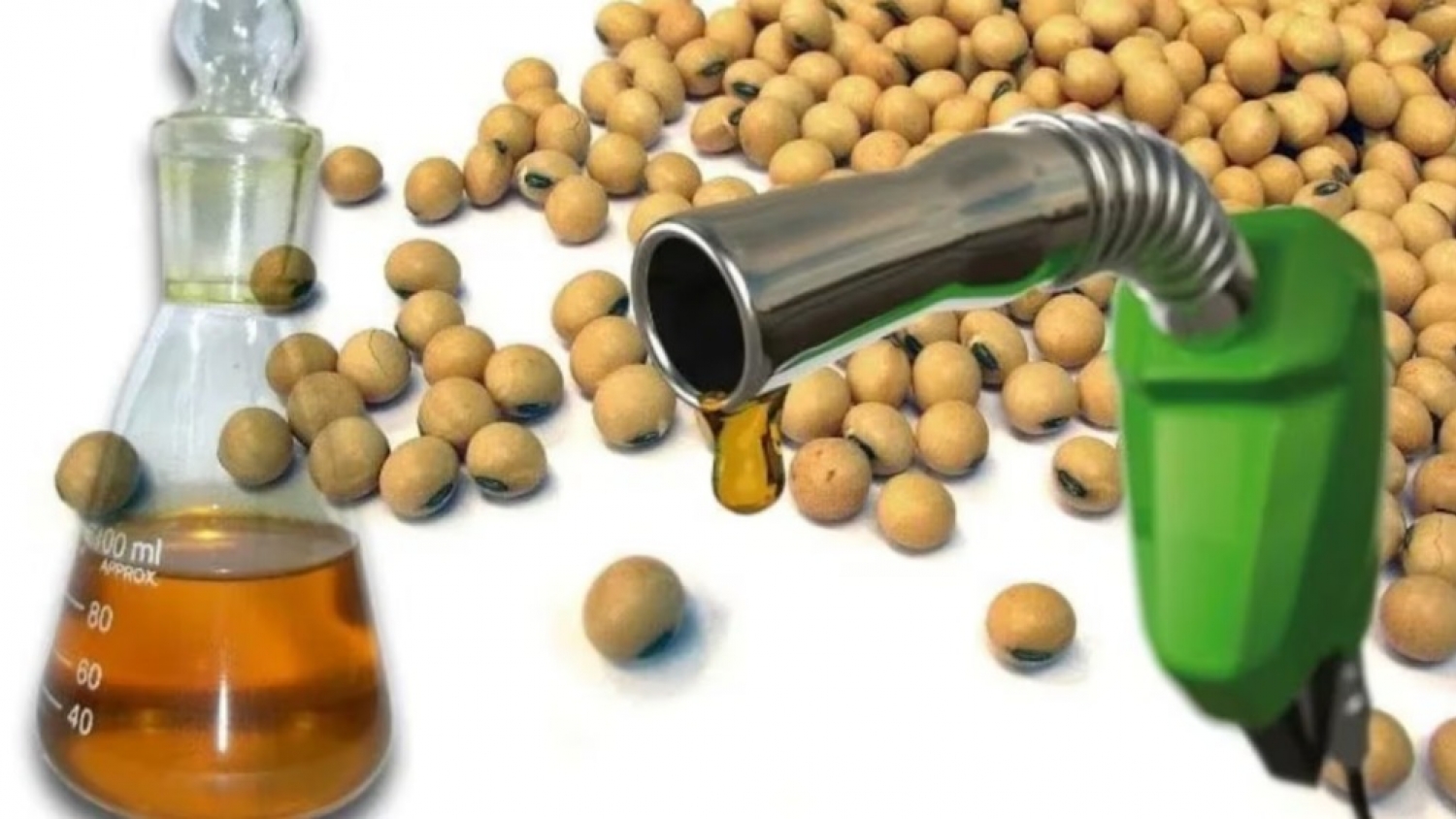 Biocombustibles: la industria aceitera reclamó una nueva ley para ampliar el uso de biodiésel en la Argentina