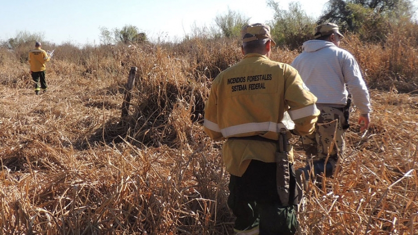 El gobierno entrerriano aborda desde distintos frentes los incendios en las islas