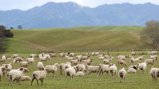 El sector agrícola de Nueva Zelanda se prepara para un 2021 rentable en medio de la turbulencia mundial: informe