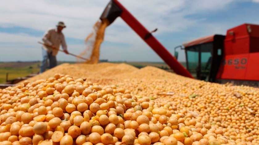 Cada año más cerca: se esperan 55 millones de toneladas de soja