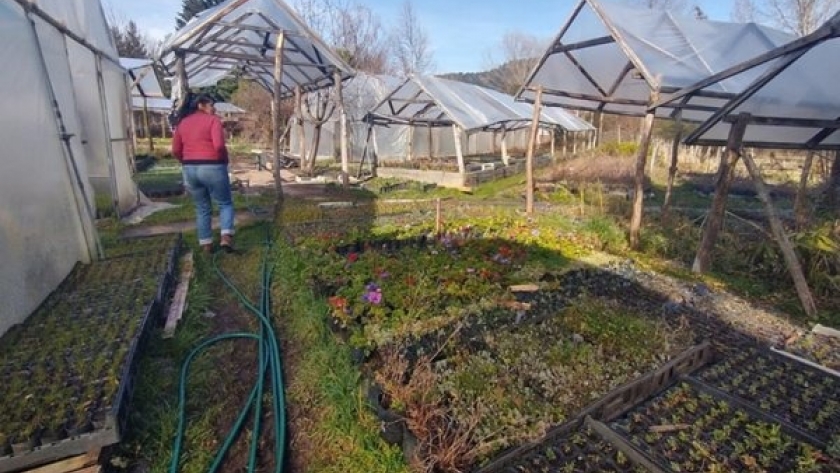 El Gobierno de la Provincia continúa acompañando proyectos de agricultura familiar en Epuyén