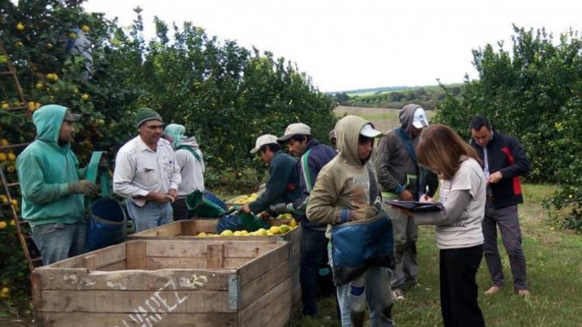 Intercosecha: La tarjeta "Inclusión Social" beneficiará a 21.000 trabajadores