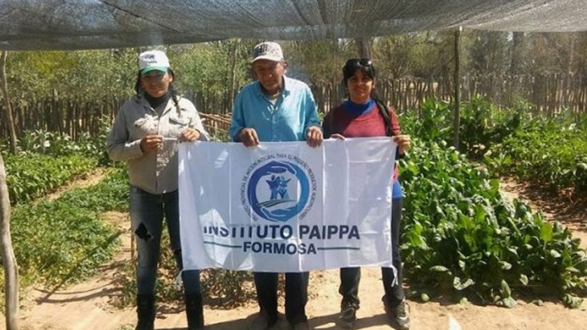Entrega de semillas a productores paipperos en todo el territorio