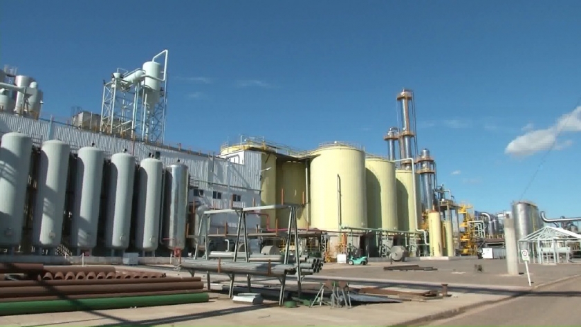 Análisis de la producción de biocombustible en Santa Fe