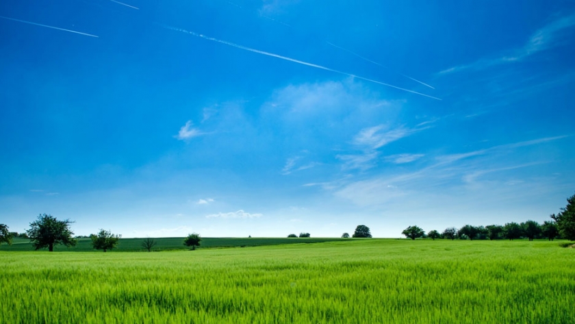 Reclaman a la Comisión Europea apoyos para la producción ecológica