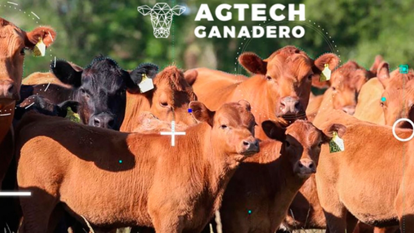 Seminario Agtech Ganadero 2020 de la SRA, con la mirada puesta en una ganadería sostenible con tecnologías integradas