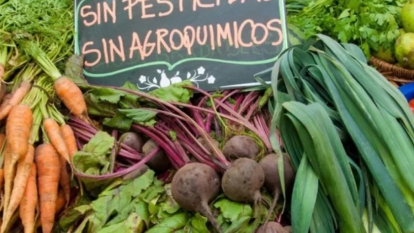 Centenario invita a la feria AlmaCente este sábado 18 de mayo