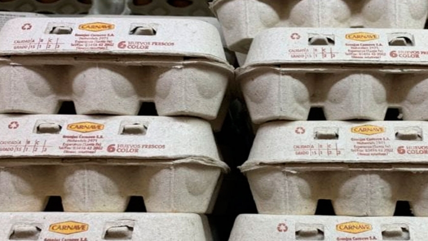 Argentina: enfocados en la exportación de huevos hacia 2025