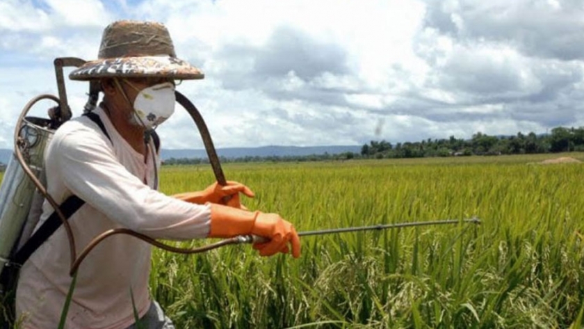 La Pampa: prohiben la venta de agroquímicos