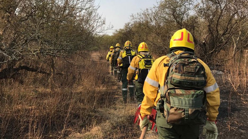 Brigadistas continúan trabajando en zonas del delta del Paraná