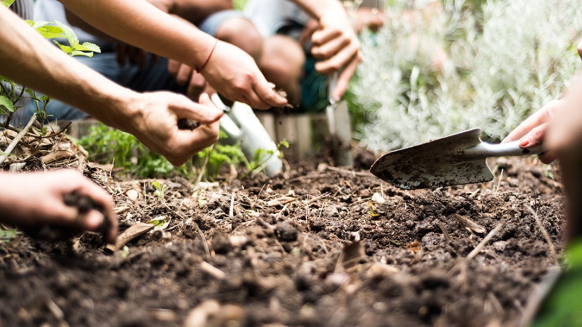 Ya está disponible la segunda unidad de la capacitación virtual sobre armado de huertas agroecológicas