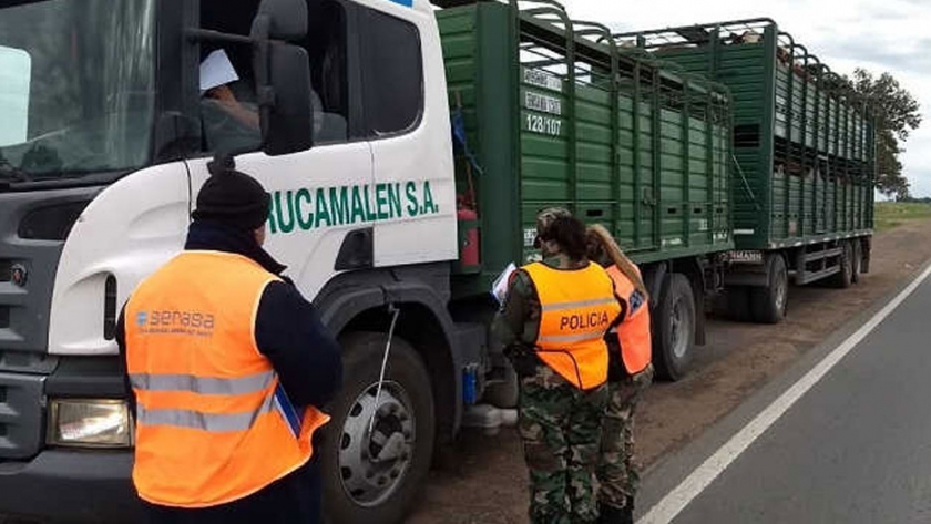 Continúan los controles a transportes en rutas del centro y norte bonaerense