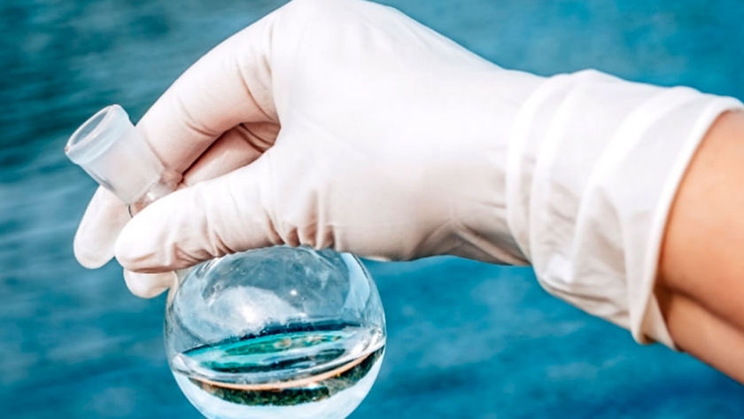 Un proyecto buscará nuevas especies de microalgas en el mar de Alborán para su cultivo y uso acuícola