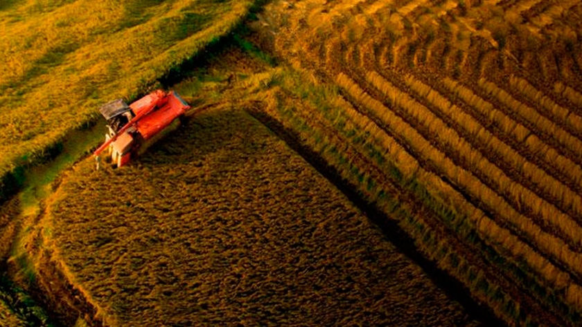 PepsiCo y USAID destinarán U$$ 20 millones para empoderar a las mujeres en la agricultura