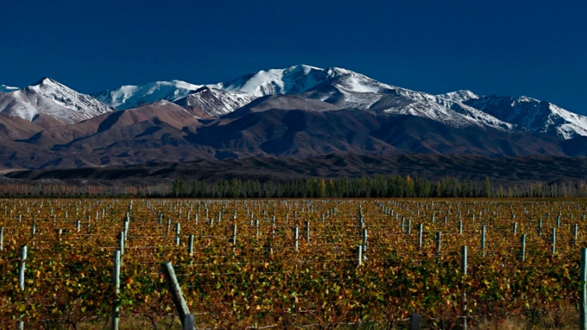 Wines of Argentina profundiza el posicionamiento mundial del Vino Argentino