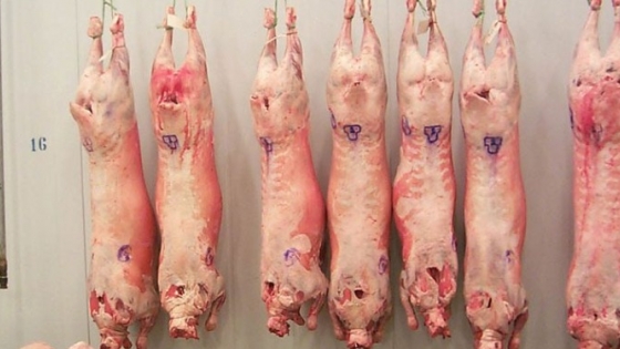 La carne ovina patagónica recupera un mercado clave y reactiva sus exportaciones a Brasil