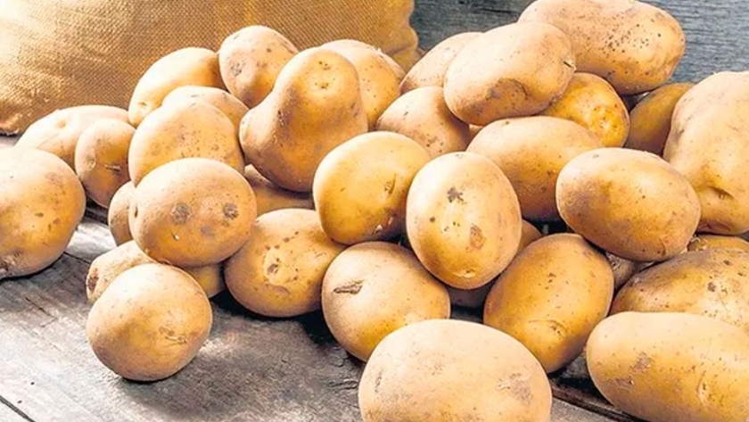 Desarrollan un silo que mejora la vida útil de las papas