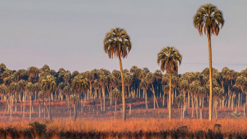 La provincia trabaja en la temporada de turismo 2021