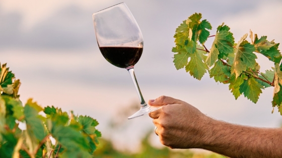 Nueva normativa vitivinícola: menos burocracia y más eficiencia para el comercio del vino