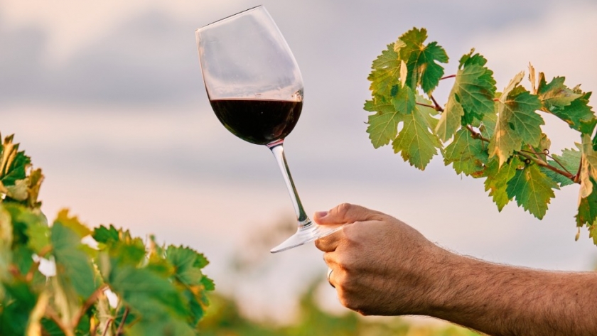 Nueva normativa vitivinícola: menos burocracia y más eficiencia para el comercio del vino
