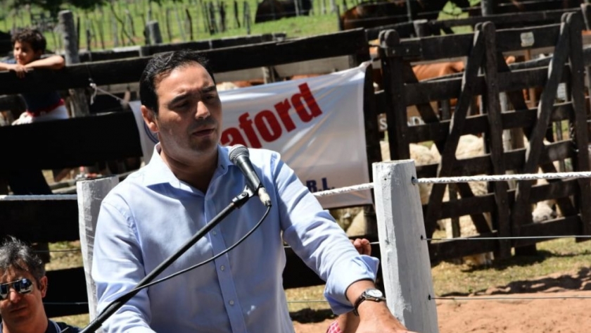 Valdés exhortó rever las restricciones a las exportaciones de carne que la Nación volvió a prorrogar