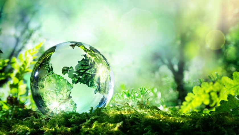 Evaluando la sustentabilidad