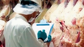 Estados Unidos aprobó el sistema de inspección para la exportación de carne argentina