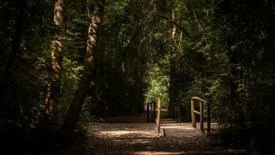 Reserva Los Robles: el oasis natural a menos de una hora de CABA con lagunas, bosque y camping