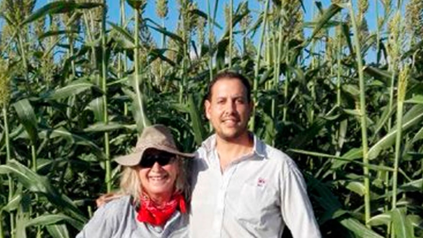 El INTA hace grandes aportes para el desarrollo del cultivo de sorgo