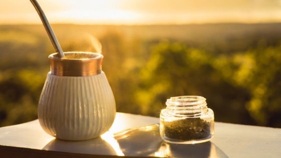 Un avance histórico: científicos argentinos descifran el genoma de la yerba mate